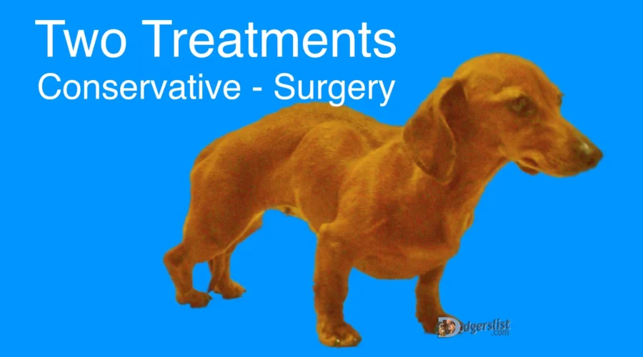 Surgical or non-surgical IVDD treatment options
