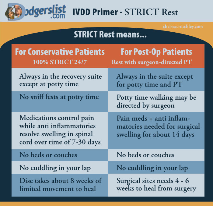 What STRICT crate rest means: non surgical or post-op
