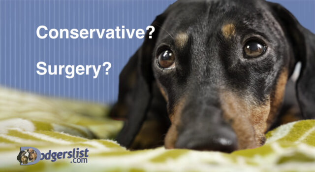 Surgical or non-surgical IVDD treatment options