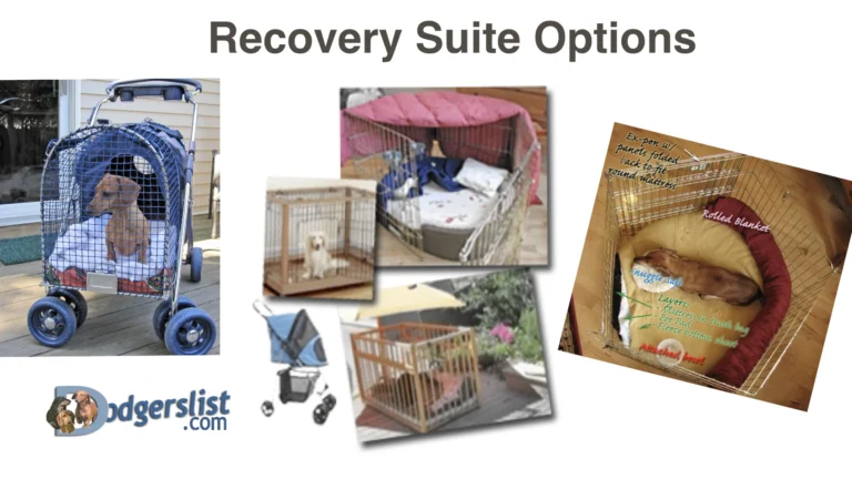 crate options during non-surgical or post-op rest