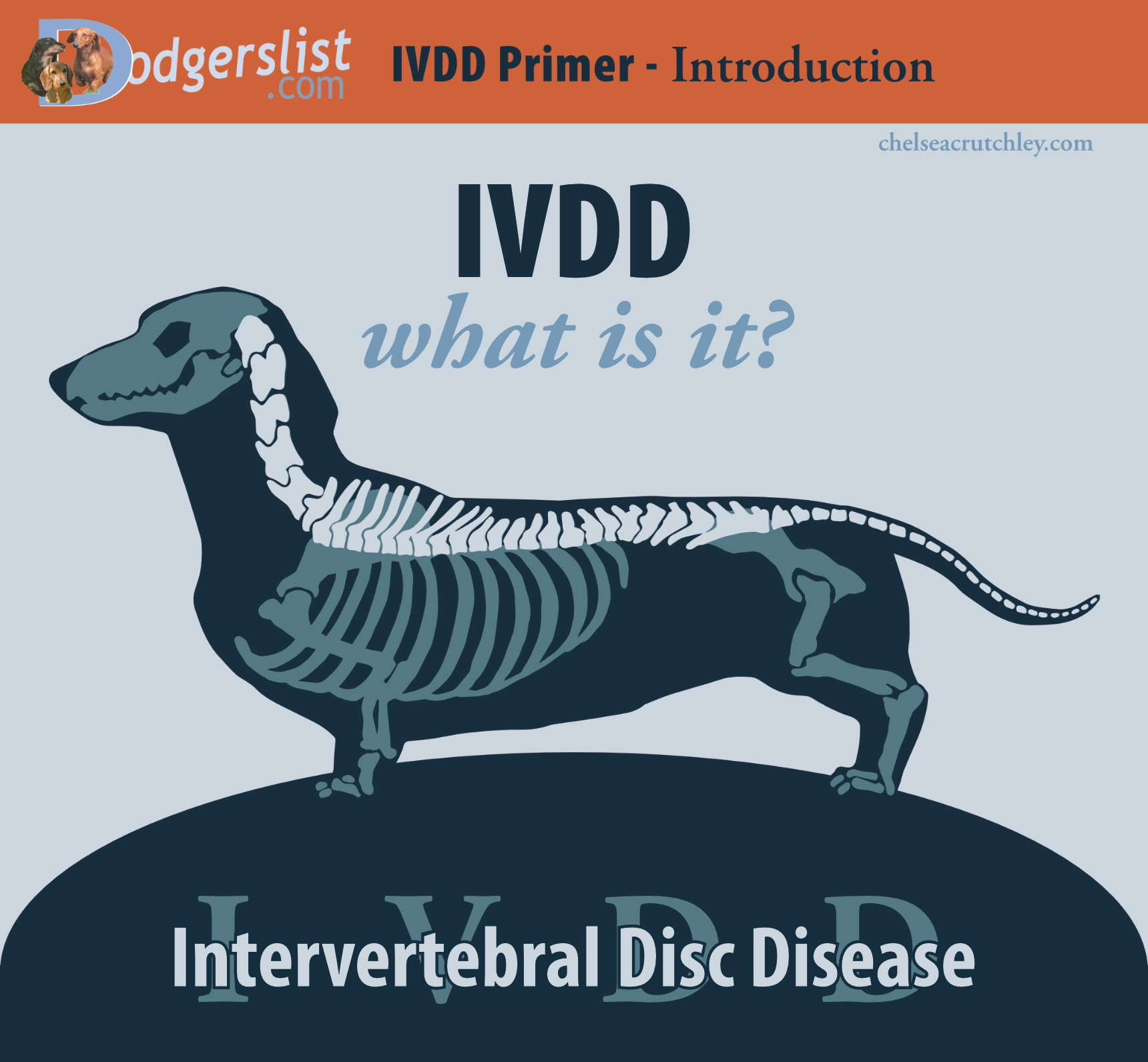 6 Illustrated IVDD Primer Strips. Perfect for helping children ...