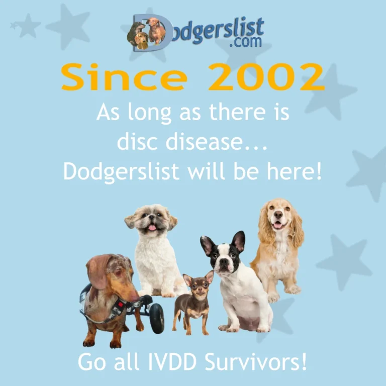 Dodgerslist since 2002 for IVDD
